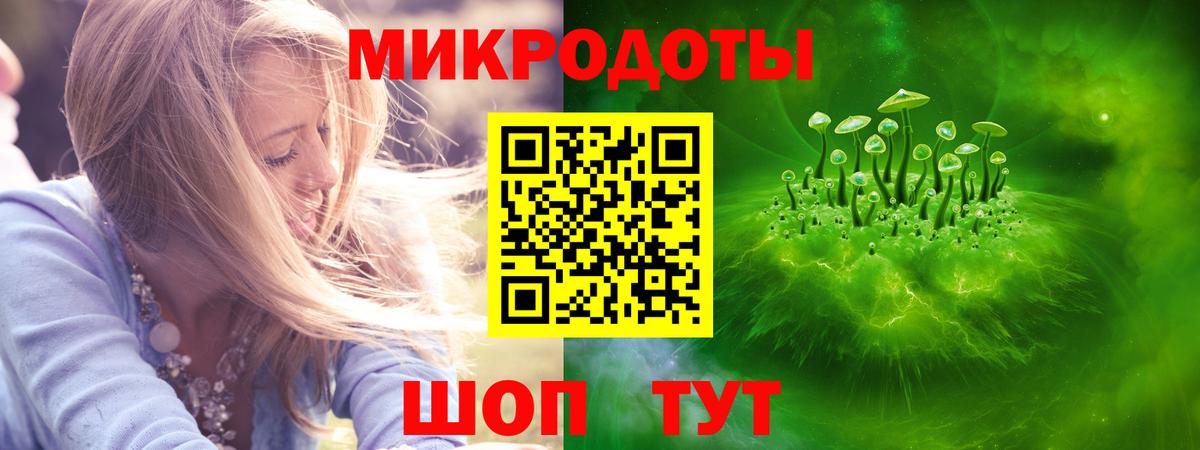 Будённовск  Псилоцибиновые грибы Psilocybine cubensis  Галлюциногенные грибы ЛСД  Вход с VPN 